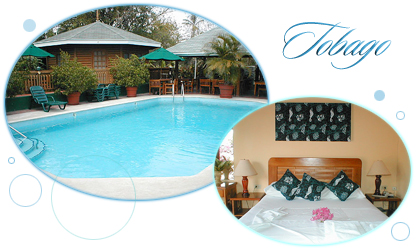 Toucan Inn